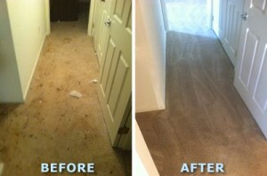 carpet-cleaning sevies newport beach 